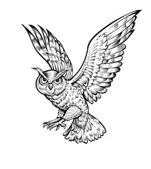 Vector illustration of flying owl, black and white sketch.