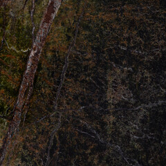 Marble Texture Background with Natural Brown Veins