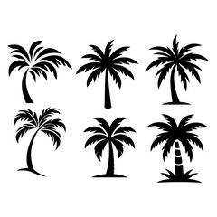 Black Palm Silhouettes Tropical Trees Shadows. Vector