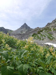 Fototapeta premium 北アルプスの名峰「槍ヶ岳」
