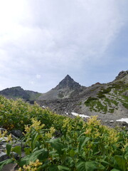 北アルプスの名峰「槍ヶ岳」