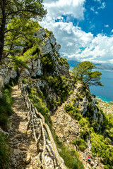 Fototapeta premium Wanderung zum Berg und Aussichtspunkt Talaia d'Alcúdia mit einen fantastischen Ausblick auf die Bucht von Alcúdia auf der Balleareninsel Mallorca - Spanien
