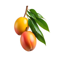Fresh mango fruit isolated on transparent background, fresh fruit
