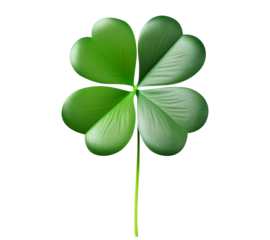 Four Leaf Clover on Green Background