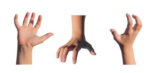 Grabbing, holding, catching and taking gesture set. Kids childs hands with something, holding product isolated on white background.., transparent PNG