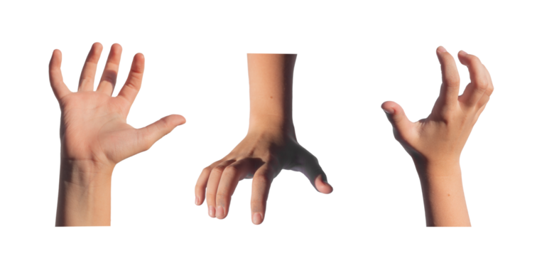 Grabbing, holding, catching and taking gesture set. Kids childs hands with something, holding product isolated on white background.., transparent PNG