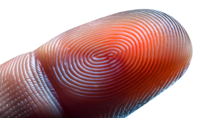 Man Interacting With Fingerprint on Touch Screen