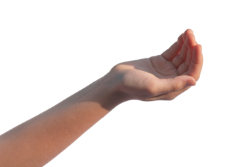 Hand palm, kids gesture, cup shaped taking, holding, grabbing, holding something invisible isolated on white background., transparent PNG