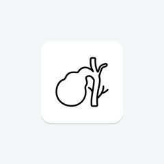 Gallbladder line icon , vector, pixel perfect, illustrator file