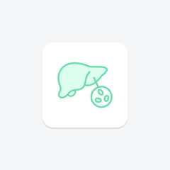 Liver duotone line icon , vector, pixel perfect, illustrator file