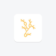 Lymph Nodes duotone line icon , vector, pixel perfect, illustrator file