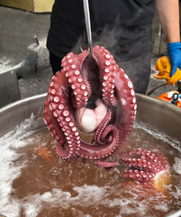 Close up of galician woman cooking octopus in a pot of boiling water © VictorCanalesStudio