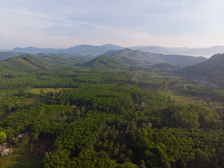 Aerial view green tropical rain forest river mountain sun rise