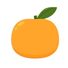 Mandarin orange on shadow flat design vector - illustration. Chinese New Year Mandarin Orange.