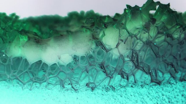 Mysterious green foam substance.