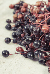 Fresh elderberry containing vitamins and minerals. Healthy nutrition, natural methods of treatment
