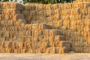 A pile of hay is stacked in a pyramid shape