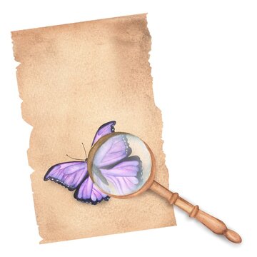 recommend clip art: Vintage magnifying glass with wooden handle on the top of paper sheet with violet butterfly. Entomology clipart. Hand-drawn watercolor illustration.