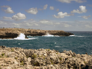 Costa rocciosa di Porto Badisco nel Salento 511