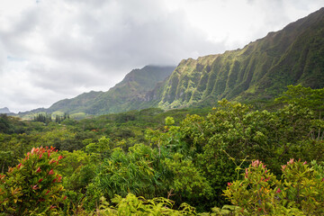 Scenic view of landscape with green mountains seen from Ho'omaluhia Botanical Garden on the Hawaiian Island of Oahu, USA against cloudy sky