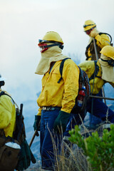Fototapeta premium Wild, teamwork and firefighters with smoke in nature for emergency, safety equipment or disaster prevention. Service, forest and men for operation, climate change or destroyed ecosystem in California