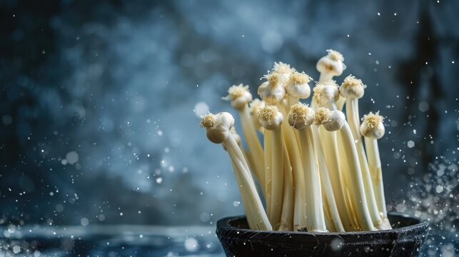 Stock photo of salsifies on dark backdrop
