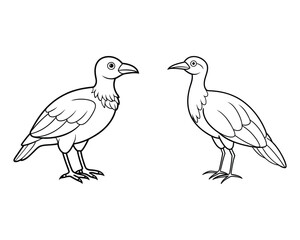 Sea bird line art vector
