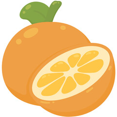illustration of orange fruit