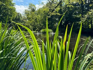 Schlossgarten und Barockschloss Rammenau