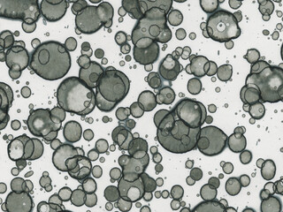 Abstract art spots. Japanese art. Modern art alcohol ink