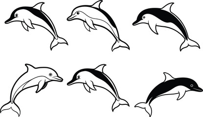 Dolphin  Silhouette Vector Illustration