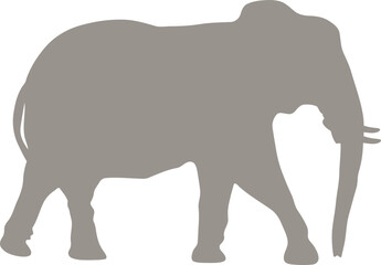 Elephant Vector Graphic 