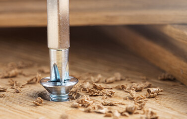 screwdriver screw in a wood oaks plank