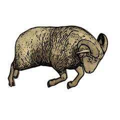 Goat animal vector ilustration design 