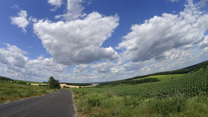 The photo shows a natural landscape - land, lakes, rivers, trees and meadow. Filming from a quadcopter.