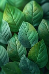 Close-Up of Vibrant Green Leaves with Detailed Veins and Soft Lighting