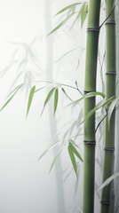 Close Up of Two Tall Bamboo Stalks Against a Misty White Background