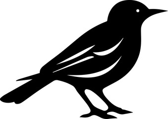 silhouette of a pigeon