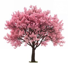 Fototapeta premium Majestic cherry blossom tree in full bloom, showcasing the delicate pink flowers and lush branches, ideal for nature and spring themes.