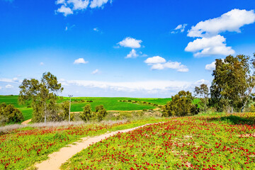 The dirt road runs among the hills