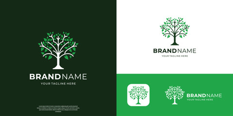 tree logo mark design. Organic nature icon, Natural plant emblem. Tree of life symbol.