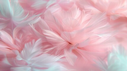   A detailed image of a pink and white flower with focused petals on one side, and hazy petals on the other