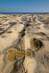 Whispers of the Tide: Chronicles of Stone and Sea