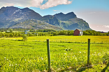 Landscape, countryside and mountain for nature in summer, agriculture and harvest growth of sustainable environment. Green, field and ecology for organic, peace and eco friendly of outdoor adventure