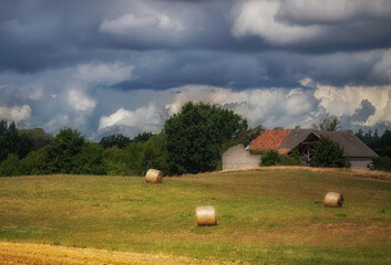 Na polu © Robert