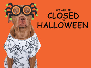 Signboard with the inscription We will be closed on Halloween