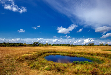 Na letniej łące © Robert