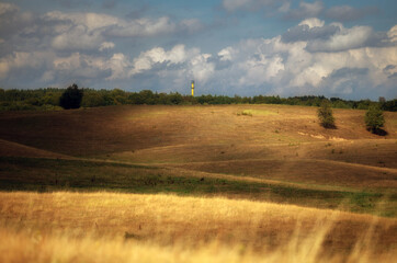 Obraz premium Na letniej łące