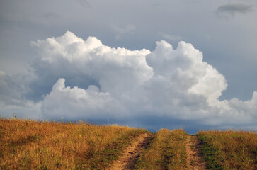 Obraz premium Polna droga