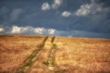 Polna droga © Robert